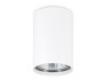 Ambrella Light Светильник потолочный Cup TN213101