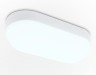 Ambrella Light Уличный светильник потолочный Street ST8655