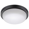 Светильник ландшафтный светодиодный настенно-потолочного монтажа NOVOTECH OPAL 358017