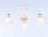 Ambrella Light Люстра потолочная Modern TR9562