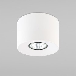 Потолочный светильник в стиле лофт                      TK Lighting  3234 Orion White