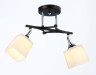 Ambrella Light Люстра потолочная Modern TR303063