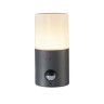 Escada 581/1A E27*60W Dark grey