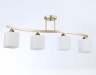 Ambrella Light Люстра потолочная Modern TR303122