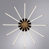 Потолочная люстра Arte Lamp FERNANDO