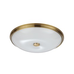 Настенно-потолочный светильник ODEON LIGHT PELOW 4956/5
