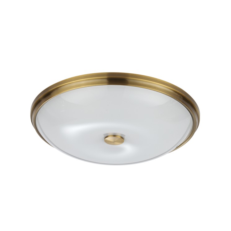 Настенно-потолочный светильник ODEON LIGHT PELOW 4956/5