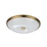 Настенно-потолочный светильник ODEON LIGHT PELOW 4956/5