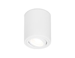 Ambrella Light Потолочный светильник Techno TN225