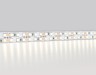 Ambrella Light Светодиодная лента GS1702 2835 240Led 24W 12V IP20 4500K GS GS1702