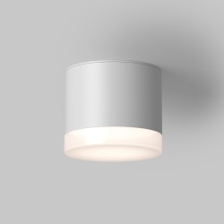 Maytoni Потолочный светильник Pauline GX53 1x12Вт IP44