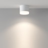 Maytoni Потолочный светильник Pauline GX53 1x12Вт IP44
