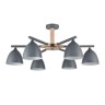 Люстра потолочная LUMION COLANGE 8096/6C