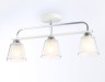 Ambrella Light Люстра потолочная Modern TR303233