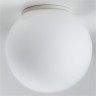 Light Star 803010 Globo Настенно-потолочный светильник Globo