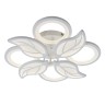 Escada 10214/8 LED*120W White