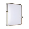 Настенно-потолочный светильник СОНЕКС OLIDI WHITE 7680/EL