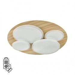 Потолочный светильник СОНЕКС PINE 7734/60L
