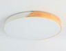 Ambrella Light Светильник потолочный Design FZ1301