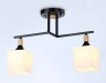 Ambrella Light Люстра потолочная Modern TR9486
