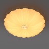 Light Star 225430 ArcoII Светильник настенно-потолочный