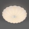 Light Star 225430 ArcoII Светильник настенно-потолочный