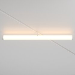 Maytoni Трековый светильник Larc