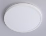 Ambrella Light Светильник потолочный светодиодный Ambrella light FZ1951