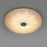 Light Star 225530 ArcoIII Светильник настенно-потолочный