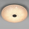 Light Star 225540 ArcoIII Светильник настенно-потолочный