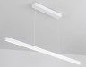 Ambrella Light Светильник подвесной LineTech FL5831