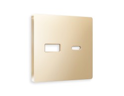 Ambrella Light Лицевая панель для розетки 2USB тип A+C QUANT Ambrella Volt ALFA AP6110