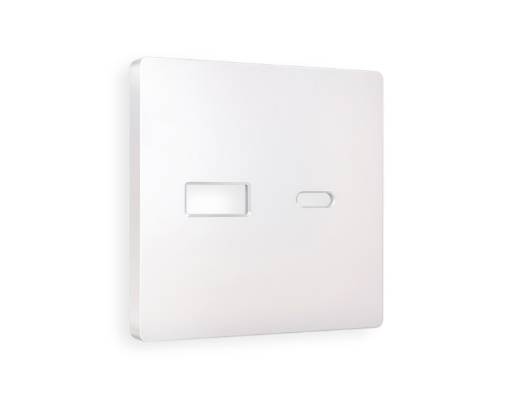 Ambrella Light Лицевая панель для розетки 2USB тип A+C QUANT Ambrella Volt ALFA AP2110