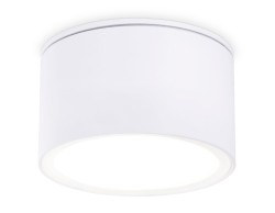 Ambrella Light Светильник потолочный IP Protect TN6522