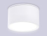 Ambrella Light Светильник потолочный IP Protect TN6522