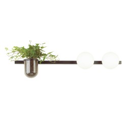 Настенный светильник ODEON LIGHT FLOWER 4681/2W