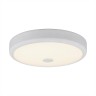 Citilux Фостер-1 CL706130 Светодиодный светильник Белый