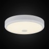 Citilux Фостер-1 CL706130 Светодиодный светильник Белый