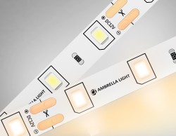 Ambrella Light Светодиодная лента GS1001 2835 60Led 4.8W 12V IP20 3000K GS GS1001