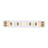 Светодиодная лента ST Luce 14W/m 2700К-6000К 5M ST5003.014.20CCT