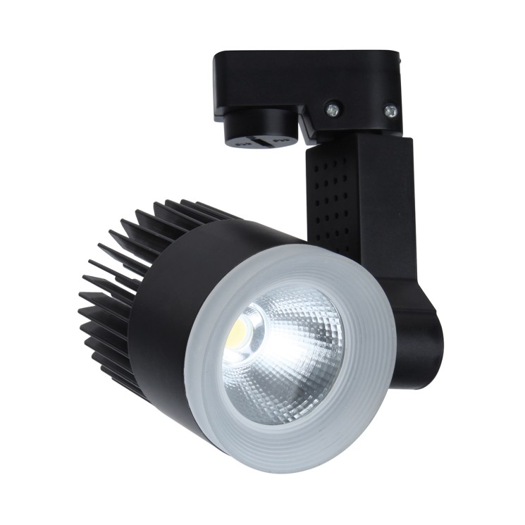 Escada 20030TRA/02 LED 30W 4200K черный матовый