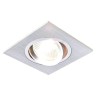 Ambrella Light Встраиваемый светильник Organic Spot A601 AL
