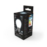 105202205 Лампа Gauss LED Filament Globe OPAL E27 5W 4100K 1/10/50, шт