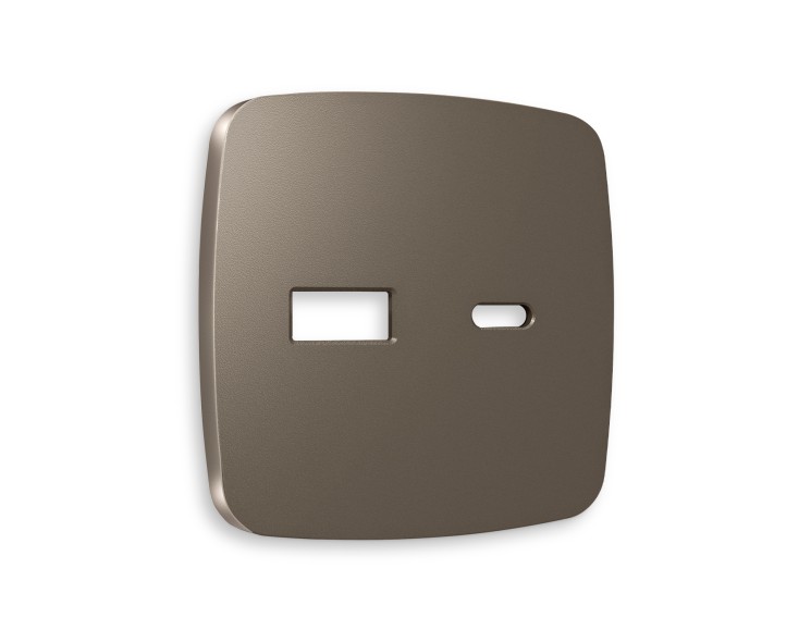 Ambrella Light Лицевая панель для розетки 2USB тип A+C QUANT Ambrella Volt OMEGA OP6410