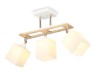 Ambrella Light Люстра потолочная Modern TR9505