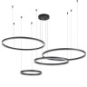 Indigo Подвесной светильник 14001/4P Black