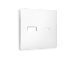 Ambrella Light Лицевая панель для розетки 2USB A+C QUANT Ambrella Volt ALFA AP1310