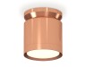 Ambrella Light Потолочный светильник XS8122035