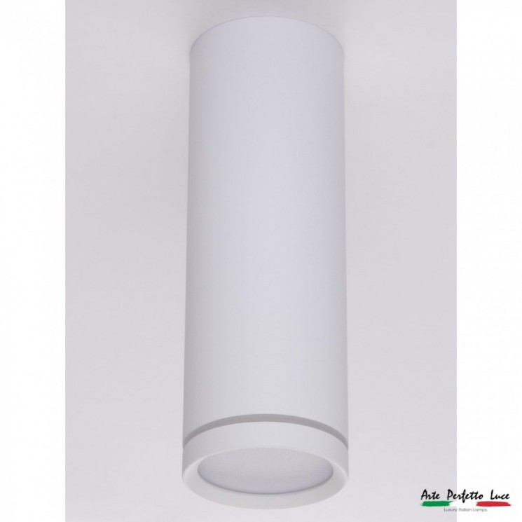 Точечный светильник (спот) APL2232027CN-B SWT Arte Perfetto Luce