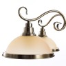 Подвесная люстра Arte Lamp SAFARI
